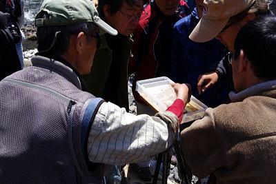 f0141392_004420.jpg