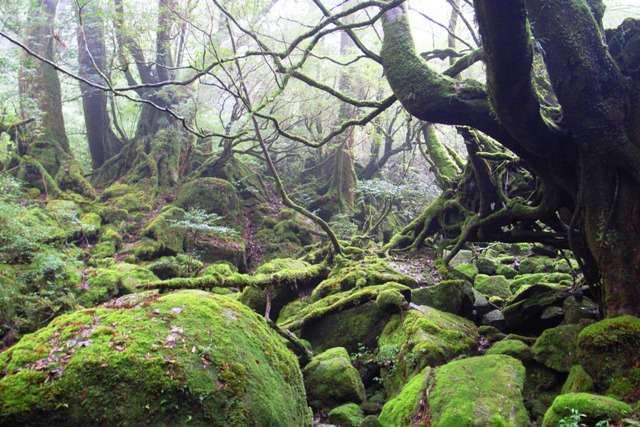 f0180993_23293174.jpg