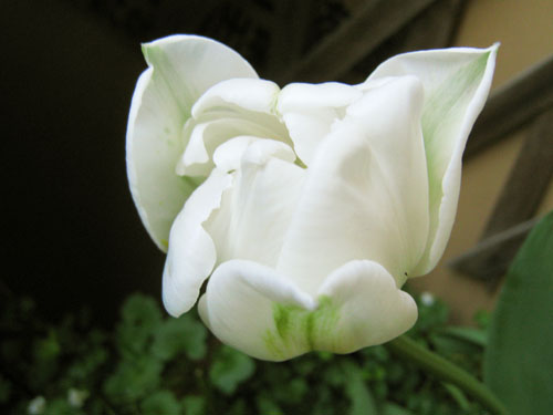 c0227800_7293040.jpg