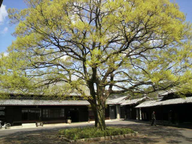e0122100_19572261.jpg