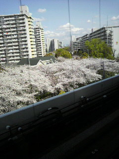 桜のある風景。_b0153002_23293154.jpg