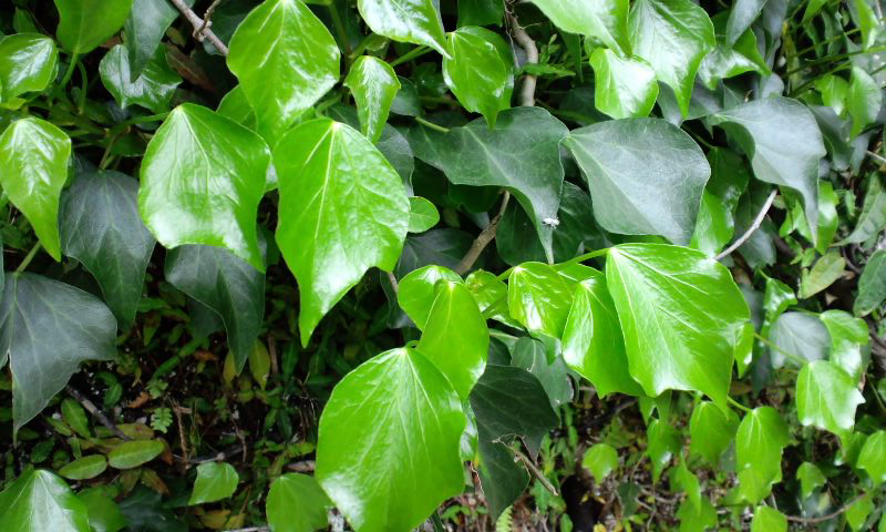 d0093903_0251790.jpg