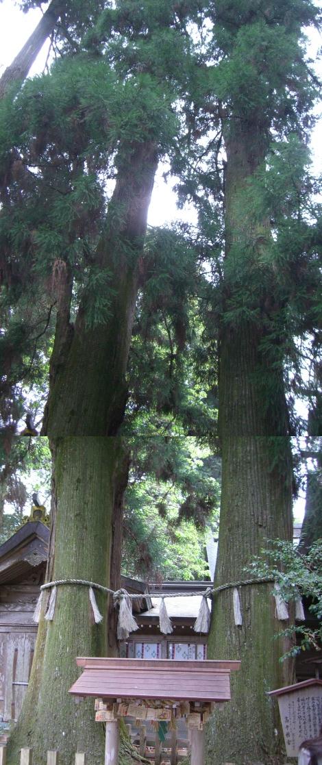 a0088007_13276.jpg