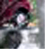 e0103408_13334542.gif