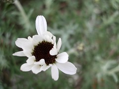 c0190010_21275475.jpg