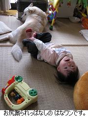 狭いがゆえに…。_c0182012_9301176.jpg