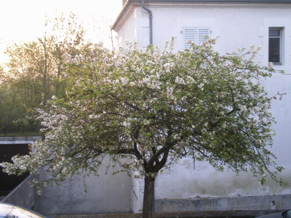 c0124619_7144624.jpg