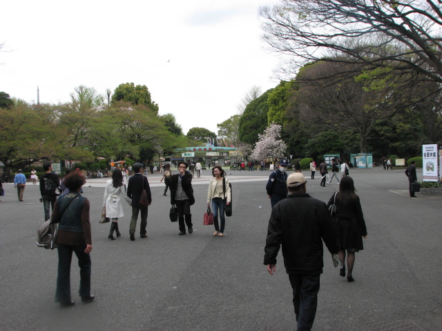 東京旅行_b0158721_216558.jpg