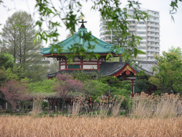 東京旅行_b0158721_217166.jpg