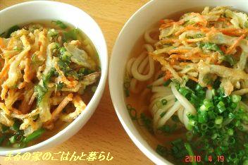 おつまみ色々　と　かき揚げうどんランチ_b0102728_1041066.jpg