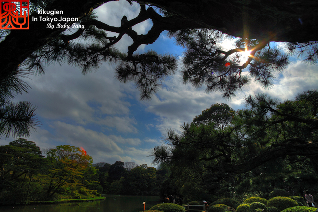 六義園　～　気持ち良さそうな天気_e0171630_2239278.jpg