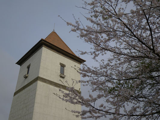 c0182231_1934441.jpg