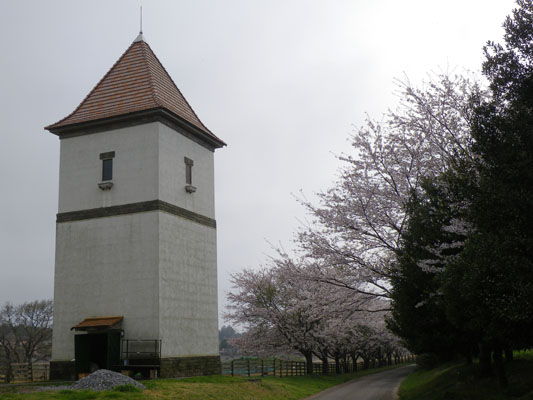 c0182231_194679.jpg