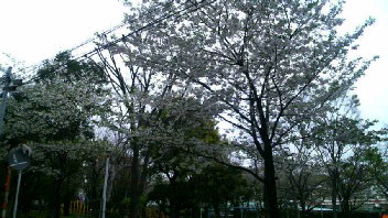1000更新_d0011635_16463347.jpg