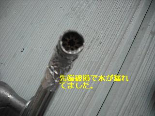 多忙な一日・・・_f0031037_22255636.jpg