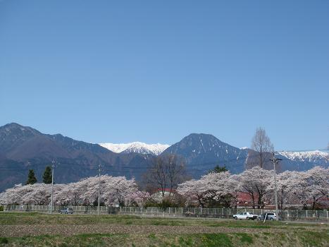 桜の咲く風景 その4_a0014840_23253855.jpg