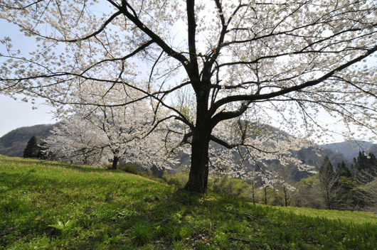 c0093046_7422590.gif