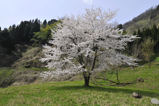 c0093046_7425844.gif