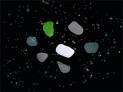 e0005548_0455987.gif
