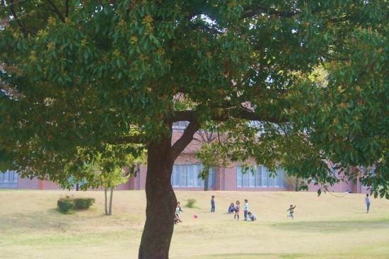 e0126350_23283494.jpg