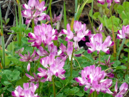 c0043055_1349487.jpg