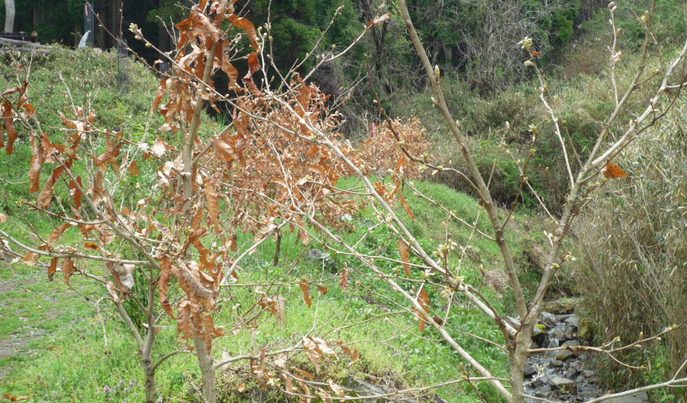b0129962_2023042.jpg