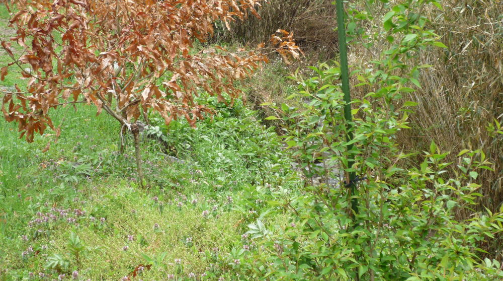 b0129962_2028933.jpg