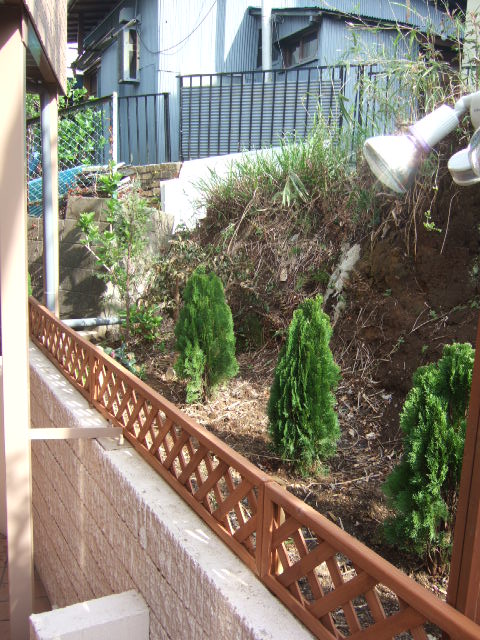c0229062_16372079.jpg