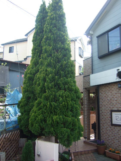 c0229062_16403459.jpg