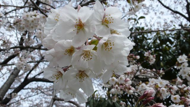 f0143269_09149.jpg