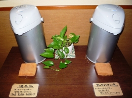f0059671_00088.jpg