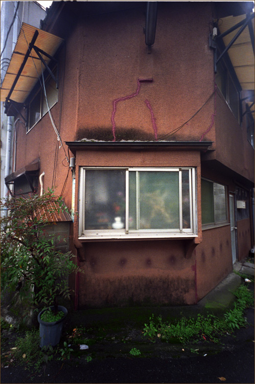c0168172_9465239.jpg