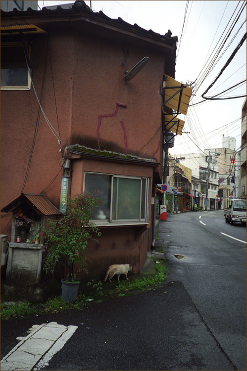c0168172_947596.jpg