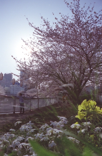 c0124773_18555735.jpg