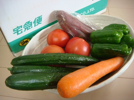 野菜生活続けます_a0161284_671541.jpg