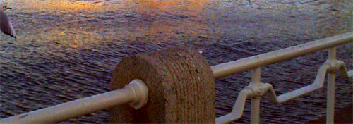 b0090884_02034.jpg