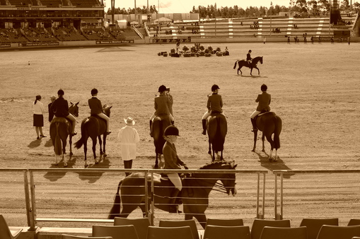 Sydney Royal Easter Show - Horses_f0150785_20381852.jpg