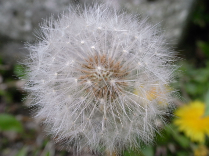 a0133986_814685.jpg