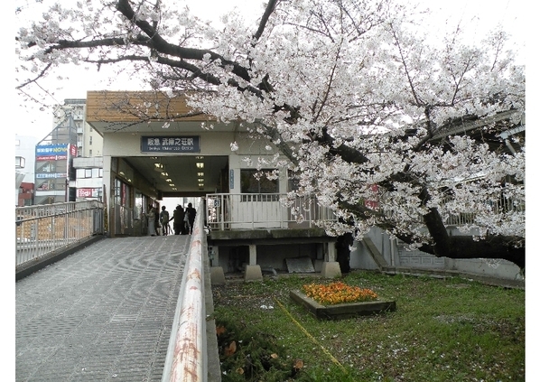 阪急武庫之荘駅南口の桜 ほんまちラボまちづくり道場