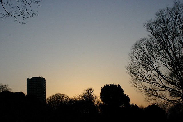e0061694_1174176.jpg