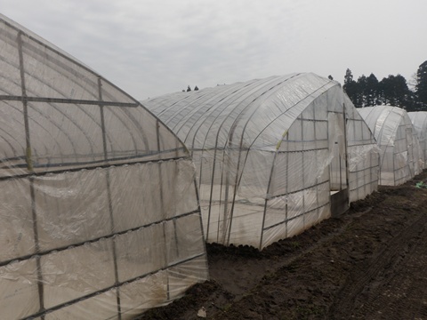 a0138198_13303046.jpg