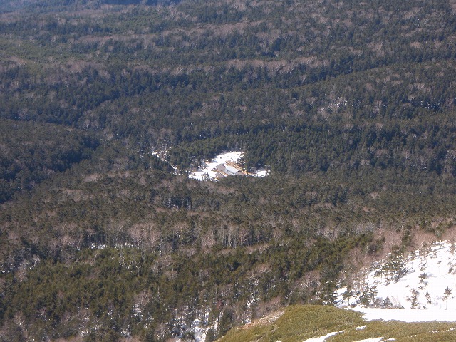 c0147398_1235954.jpg