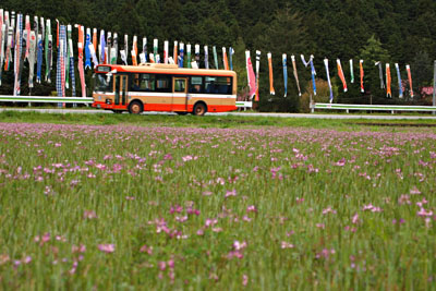 d0090101_209096.jpg