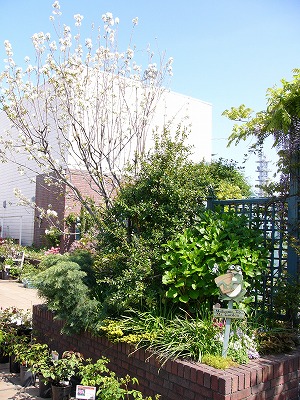 a0123003_18192891.jpg