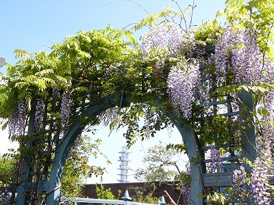a0123003_18275710.jpg