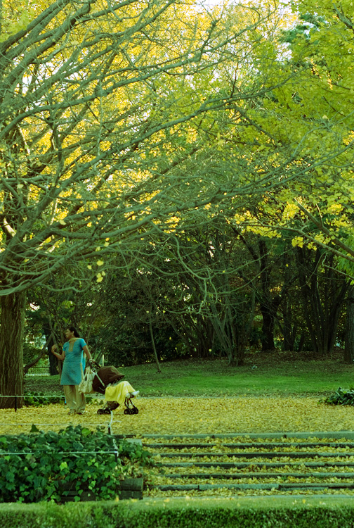 昭和記念公園で見かけた、素敵なお母さん。_c0191707_23564841.jpg