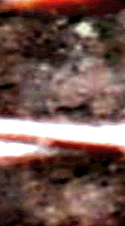e0103408_14504686.gif