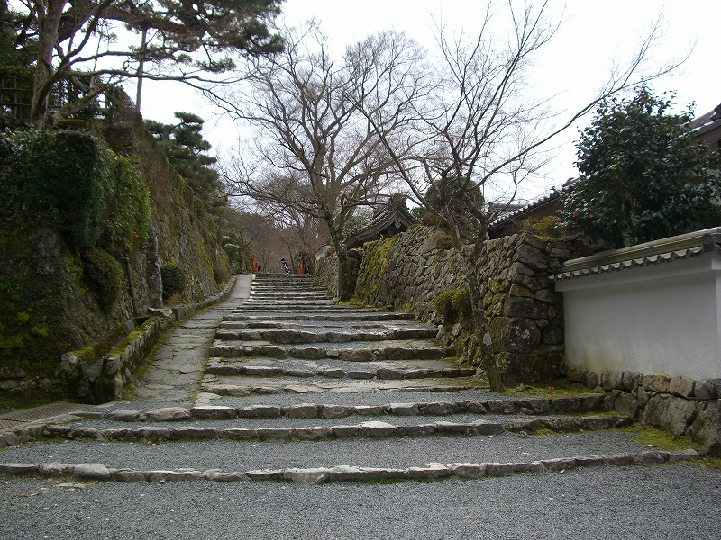 京都大原　宝泉院_d0116009_11281066.jpg