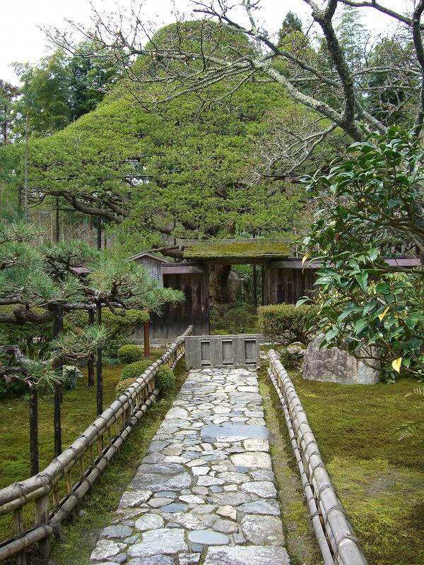 京都大原 宝泉院_d0116009_11344864.jpg