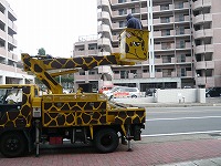 b0141411_2011982.jpg